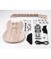 Kit de montage guitare Boston SG-15