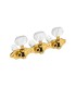 Schaller Hauser Gold
