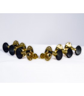 Schertler gold electric ebony