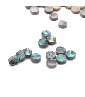 Abalone dotjes 2mm