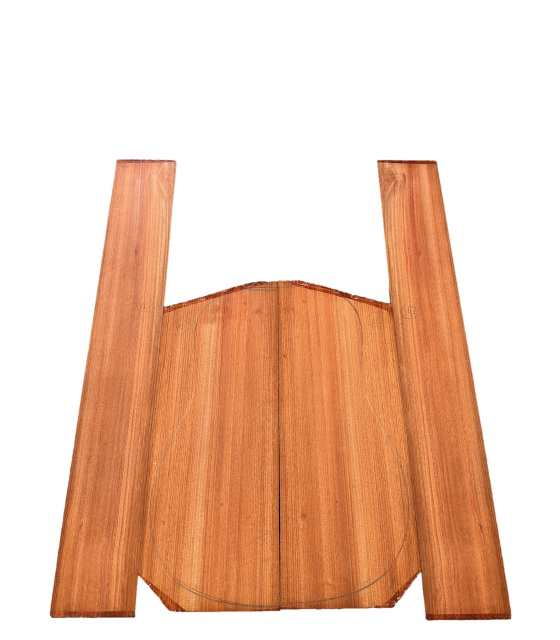 Ensemble dos et éclisses en bois sanguin 10 pour guitare acoustique.