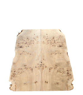 Mappa burl top