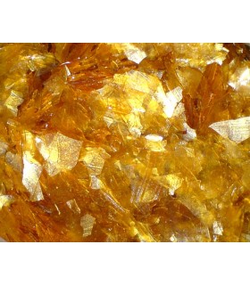 Schellack super blond