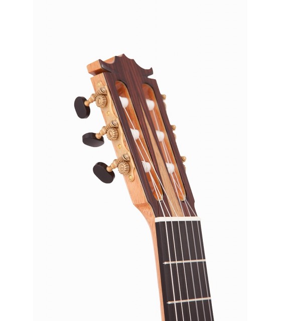 Gitarrenbaukurs 4 Stunden