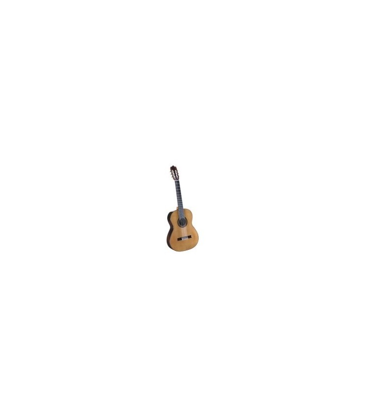 Akoestische gitaar